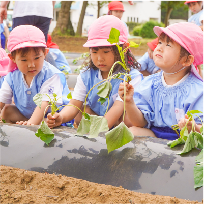 子どもたちが芋ほりをしている写真